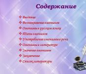 Презентация по русскому языку на тему «Омонимы и их виды» скачать бесплатно