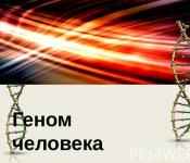 Геном человека и окружающая среда